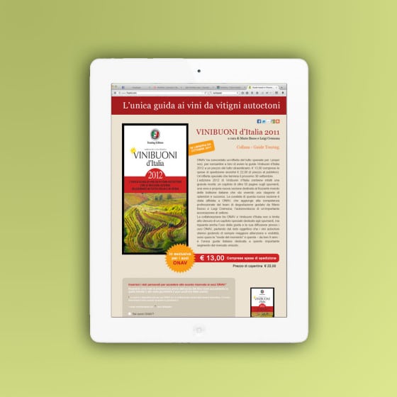 Realizzazione landing page GUIDA VINI BUONI D'ITALIA 2011